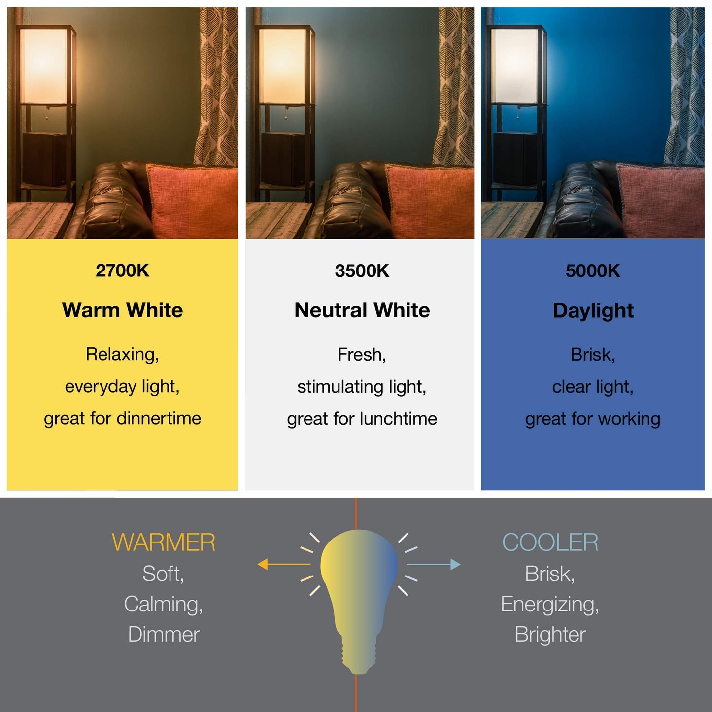 Sylvania LED R20 Flood Light Bulb, 50W = 5W, 10 Year, Dimmable, Frosted Finish, 325 Lumens, 5000K, Daylight - 2 Pack (73991)