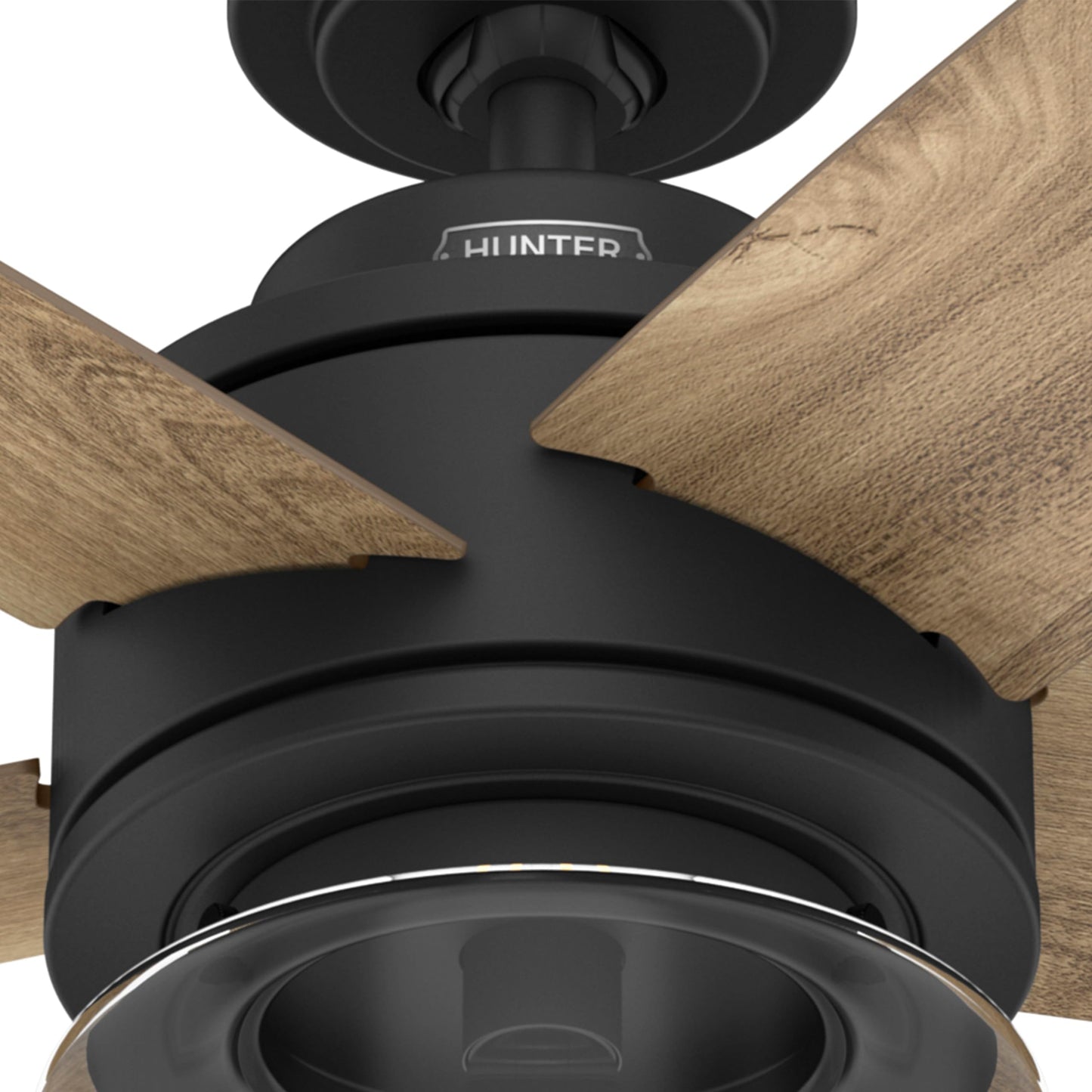 Hunter Fan 44 inch Black Indoor Ceiling Fan with Lights and Remote Control for Bedroom, Living Room/Family Room, Dining Room, Kitchen, Office