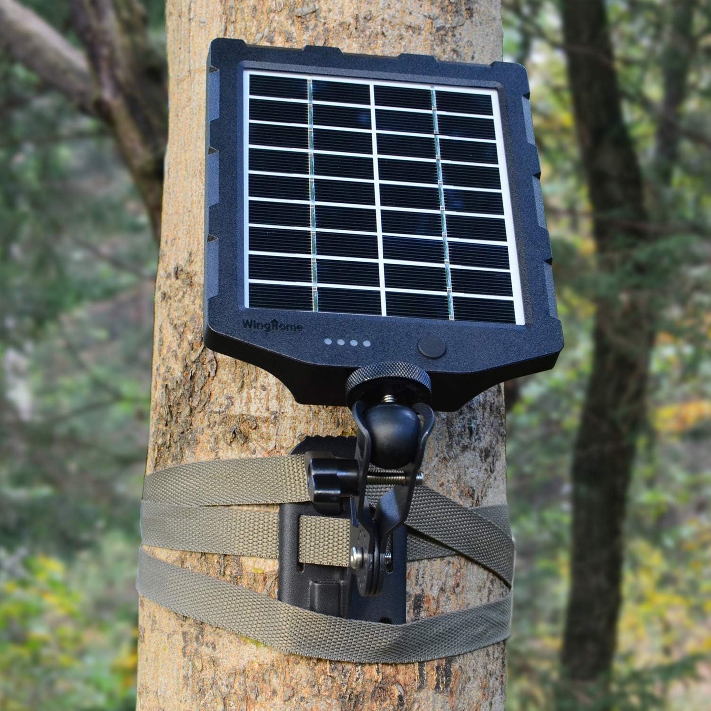 WingHome Trail Cameras Holder, Tree Camera Mount Game Tree Cam Bracket, 2 Pack