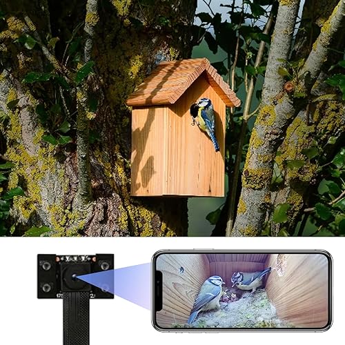WIWACAM WiFi Bird Box Camera, 4K HD WLAN, Live Video to Phone, Easy Installation to Most of Bird Box Bird House Birdhouse Feeders Nesting, for Robins