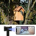 WIWACAM WiFi Bird Box Camera, 4K HD WLAN, Live Video to Phone, Easy Installation to Most of Bird Box Bird House Birdhouse Feeders Nesting, for Robins
