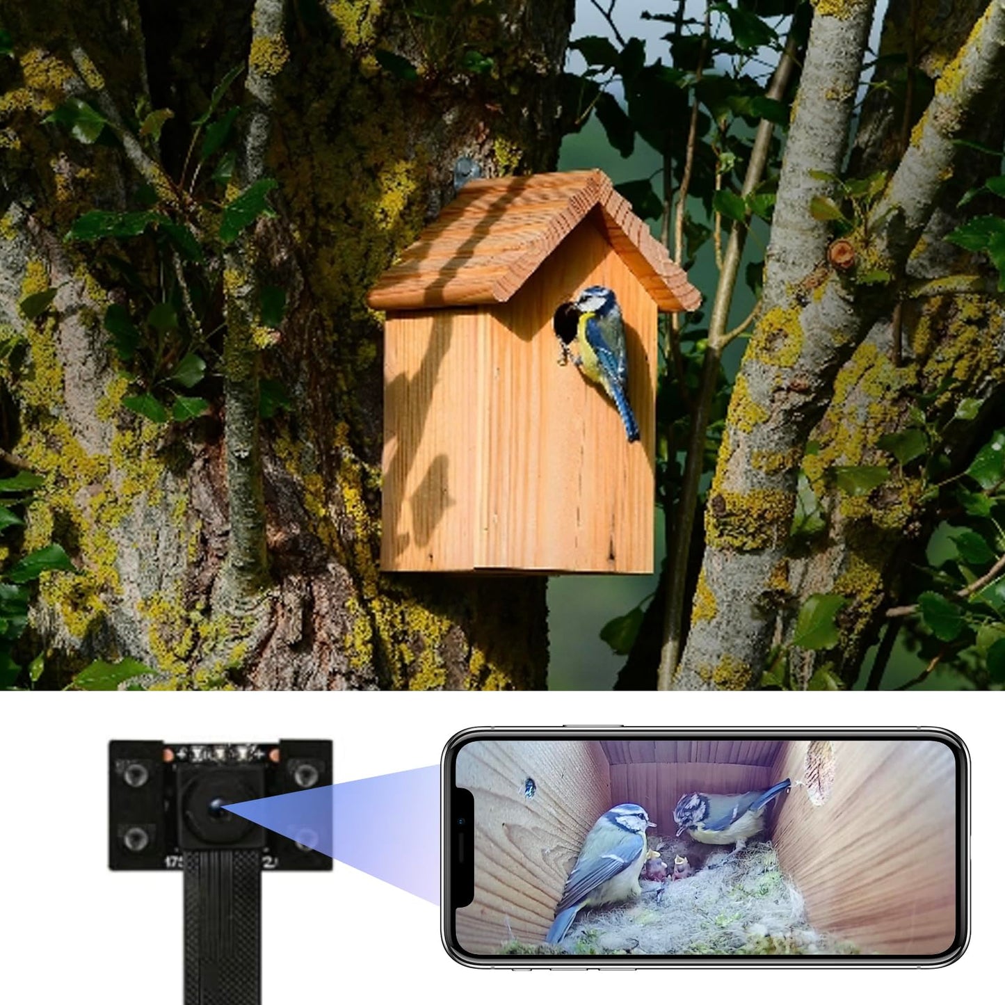 WIWACAM WiFi Bird Box Camera, 4K HD WLAN, Live Video to Phone, Easy Installation to Most of Bird Box Bird House Birdhouse Feeders Nesting, for Robins