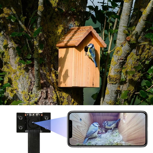 WIWACAM WiFi Bird Box Camera, 4K HD WLAN, Live Video to Phone, Easy Installation to Most of Bird Box Bird House Birdhouse Feeders Nesting, for Robins
