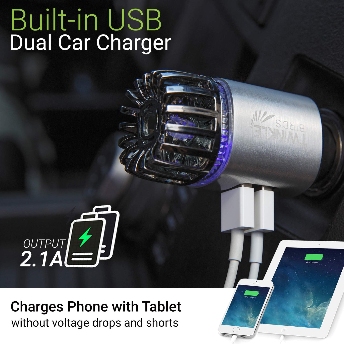 Car Air Purifier Ionizer - 12V Plug-in Ionic Anti-Microbial Car Deodorizer with Dual USB Charger - Smoke Smell, Pet and Food Odors, Allergens, Viruses
