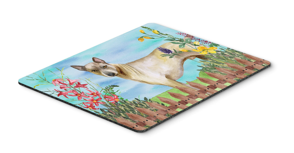 Caroline's Treasures CK1242MP Thai Ridgeback Spring Mouse Pad, Hot Pad or Trivet for Home Office Gaming Working Computers Laptop Mouse Mat,Washable