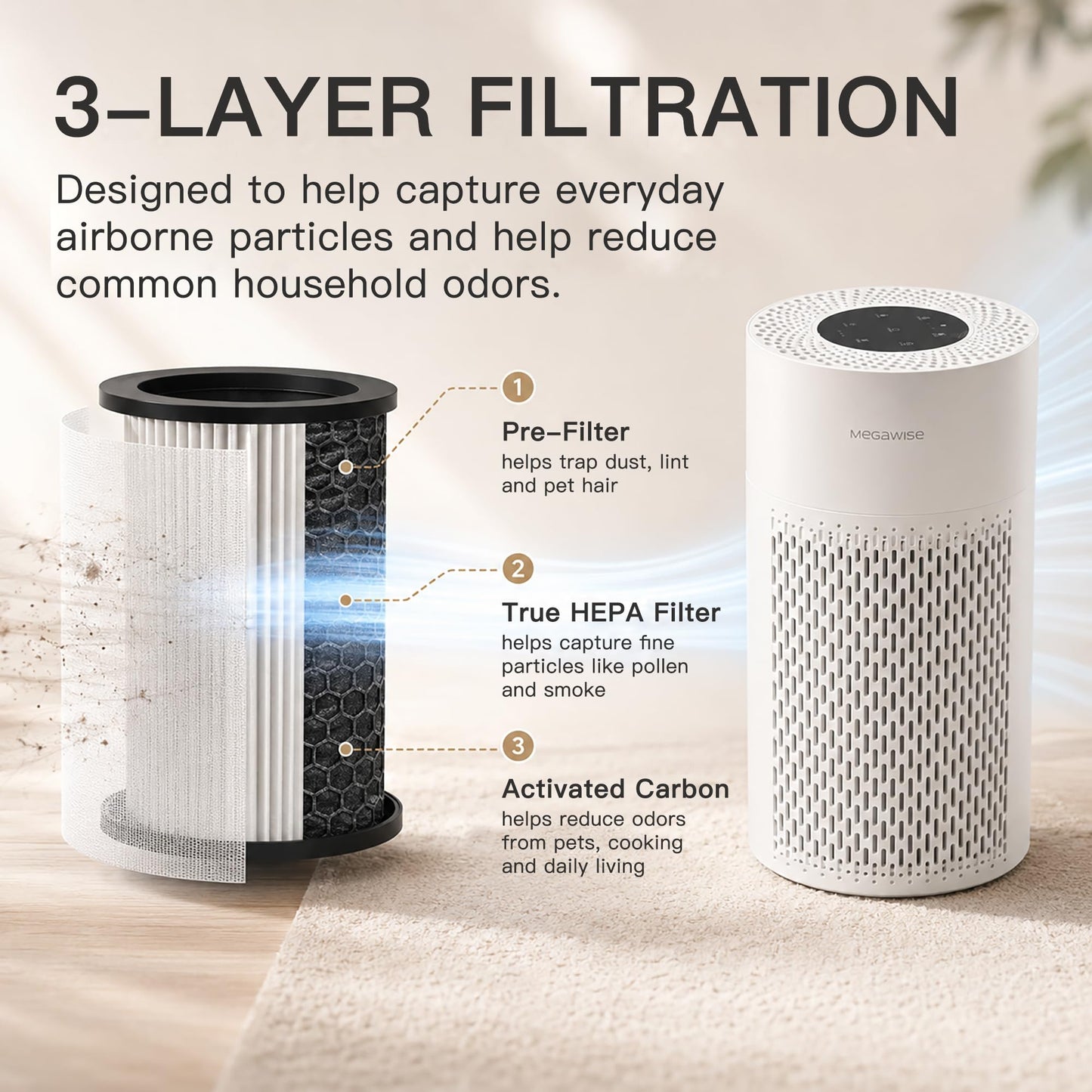MEGAWISE Updated Version Air Purifier (1, Medium)