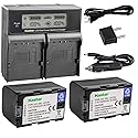 Kastar LCD Dual Smart Fast Charger & Battery (2 Pack) for JVC SSL-JVC50 and JVC GY-HMQ10, GY-LS300, GY-HM200, GY-HM600, GY-HM600E, GY-HM600EC