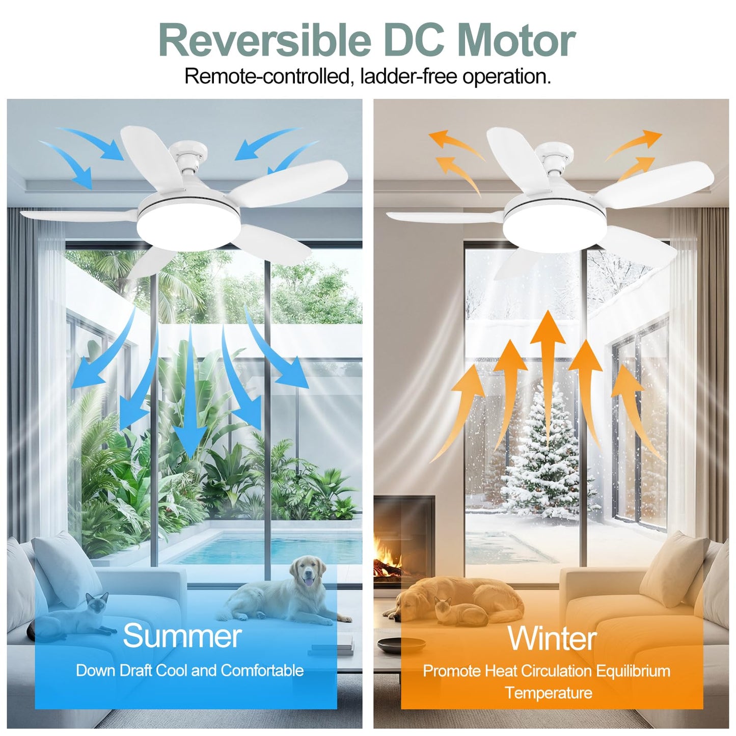WZZIW 32" Socket Fan Light, 3000 Lumens Small Ceiling Fans with Lights and Remote, E26/E27 Light Bulb Fan with Reversible Motor, Dimmable 3000K-6500K
