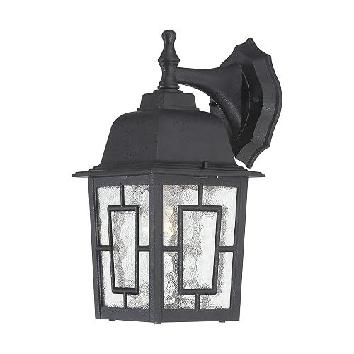 Nuvo Lighting 60/4923 Banyon One Light Wall Lantern/Arm Down 100 Watt A19 Max. Clear Water Glass Textured Black Outdoor Fixture