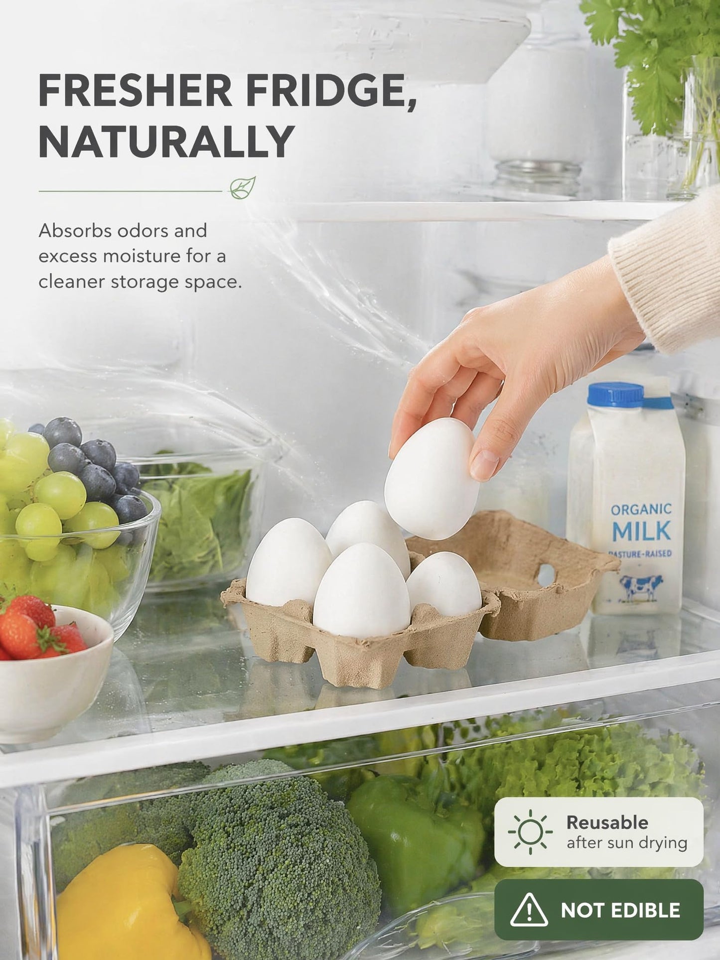 4 Pcs Egg-Shaped Diatomaceous Earth Fridge Odor Remover, Reusable Diatomite Fridge Deodorizer for Food Storage, Safe Refrigerator Odor Absorber