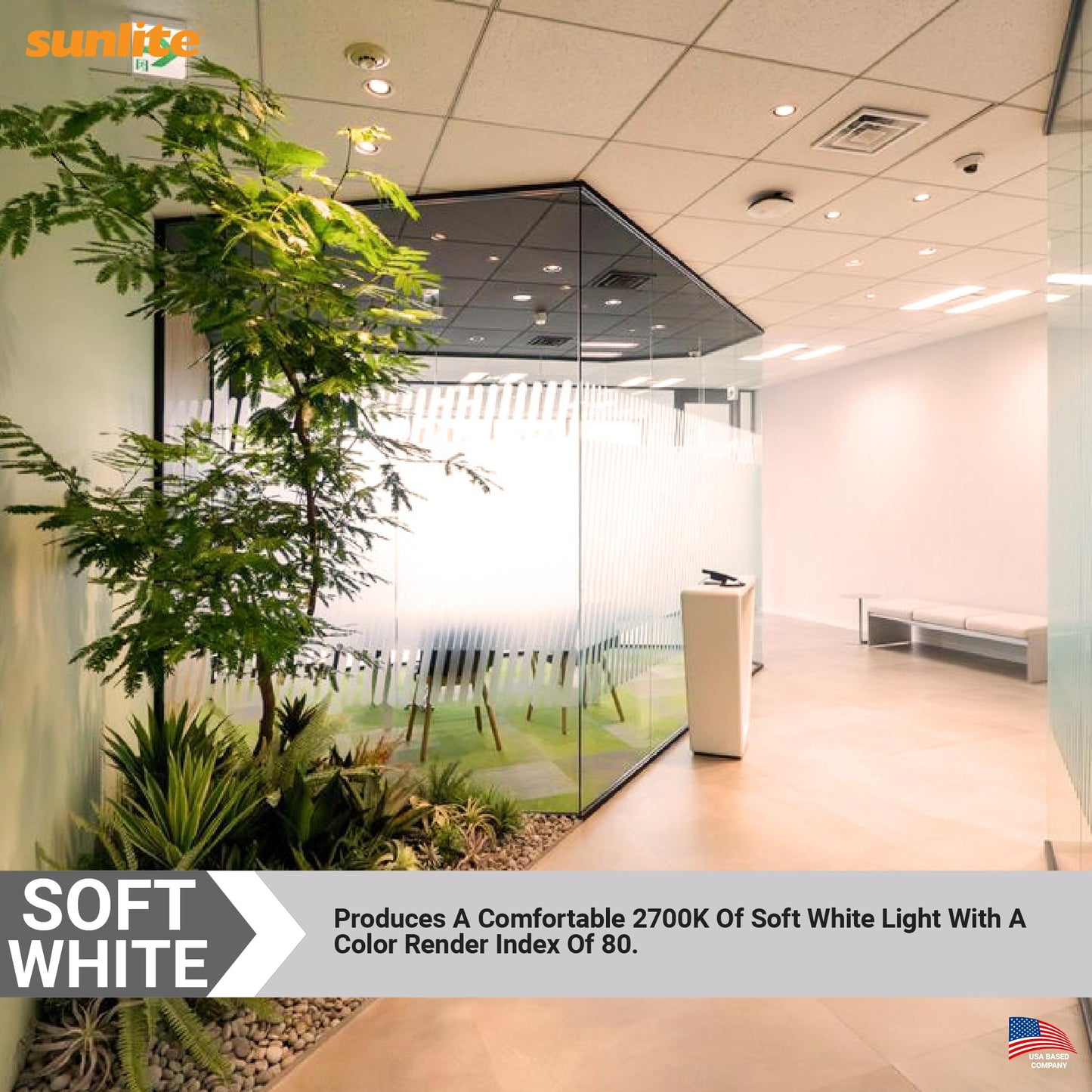 Sunlite PLD13/E/SP27K Compact Fluorescent PLD 4-Pin Double U-Shaped Twin Tube, 13 Watts, 120 Volts, 780 Lumens, 2700K Soft White, 4-Pin G24q1 Base, 10