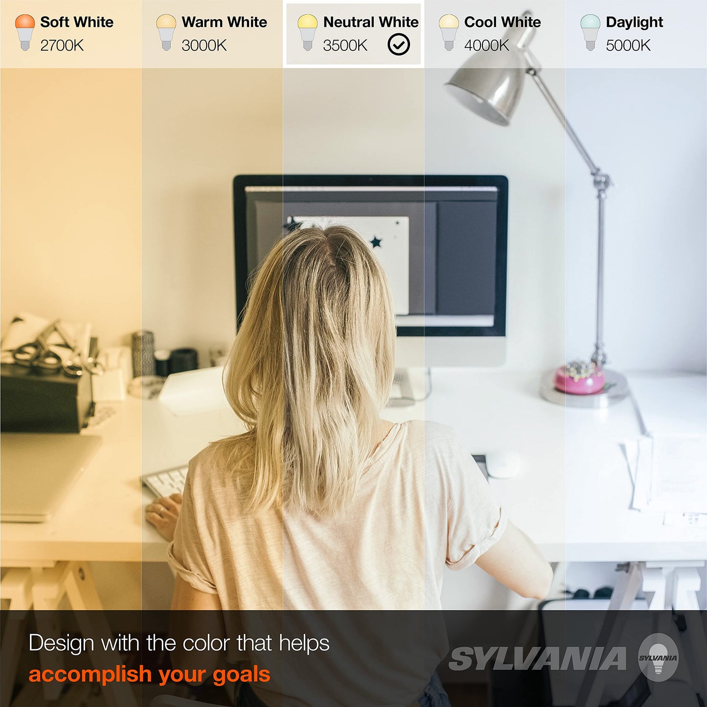 Sylvania LED Light Bulb, 60W Equivalent A19, Efficient 8.5W, Medium Base, Frosted Finish, 800 Lumens, Bright White - 1 Pack (79702)