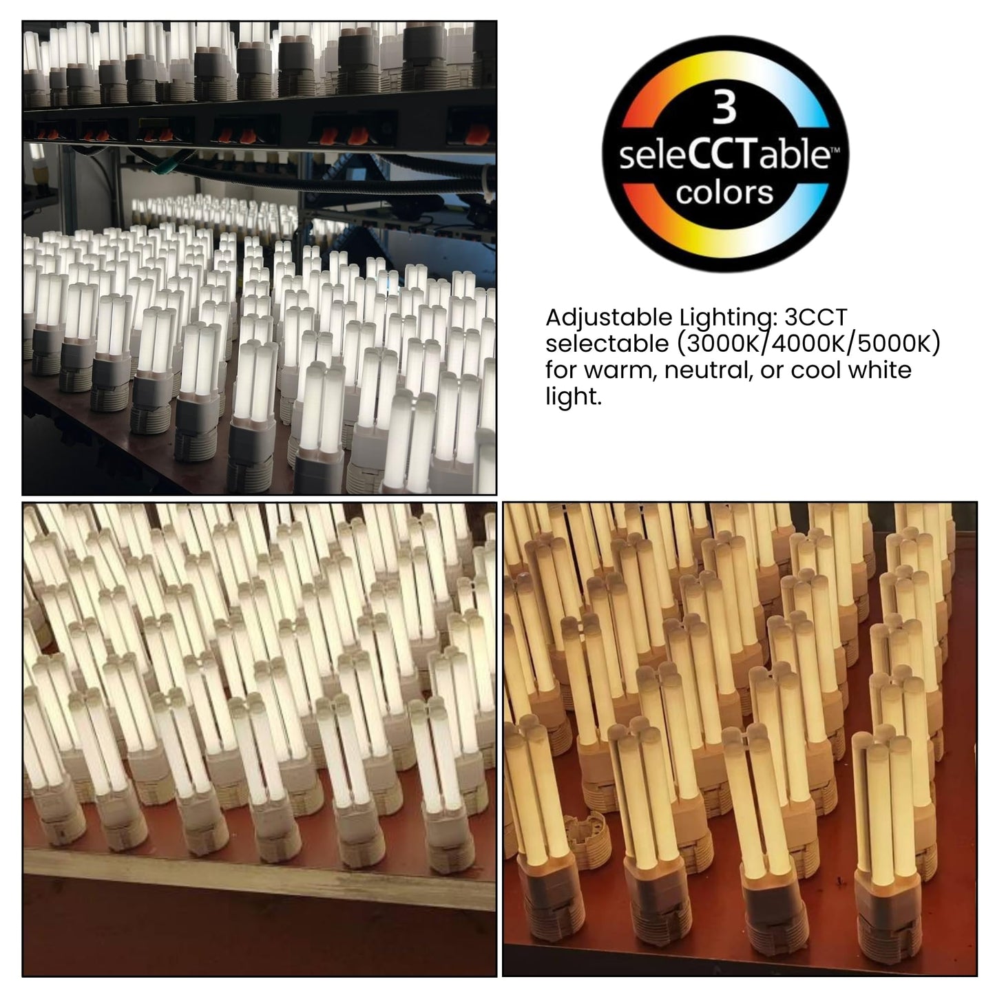 LED PL Lamp, 12W G24Q | 3CCT Selectable 3000K/4000K/5000K | Replaces 26W CFL | Energy-Efficient 120lm/W | Frosted Cover | Long-Lasting 30,000 Hours |