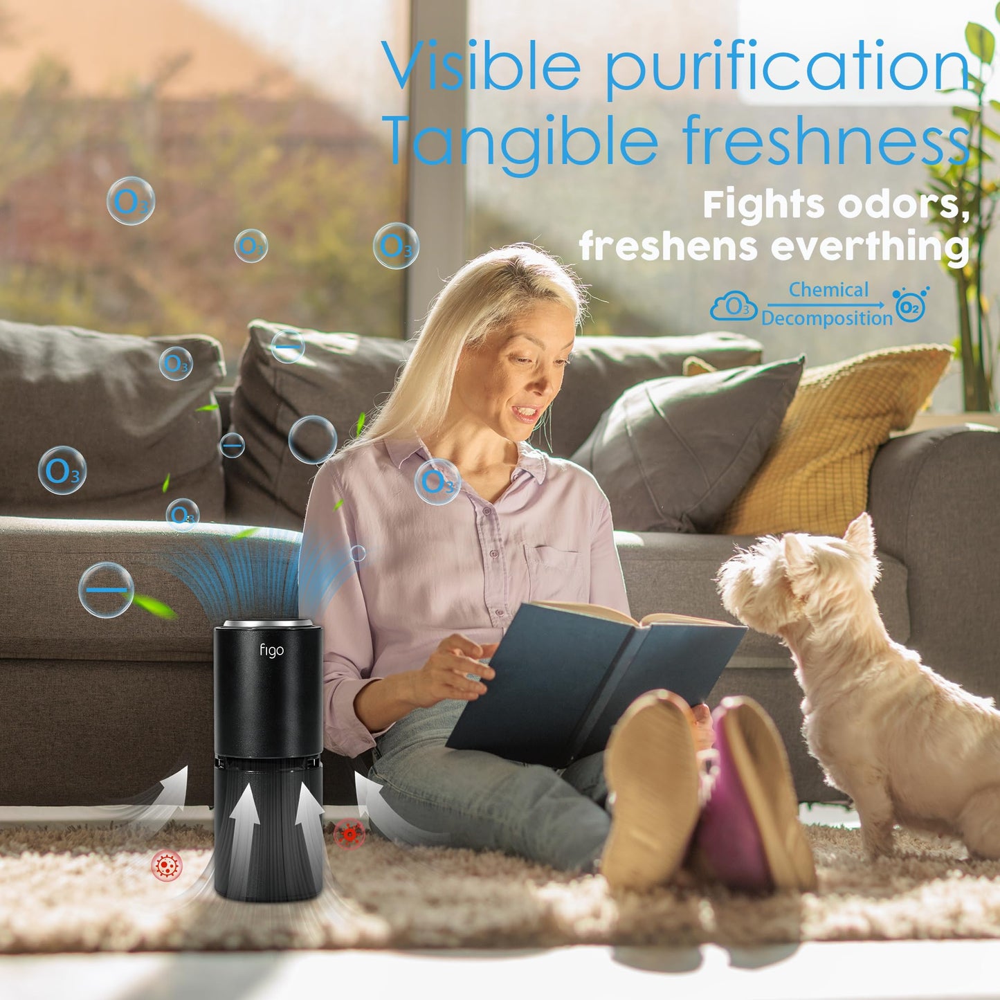 Figo 8th Gen Filter-Free Ionic Air Purifier for Home & Car