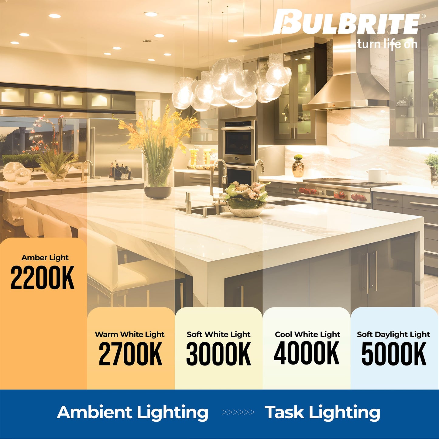 Bulbrite 776801-5W LED ST18, 2200K Filament Nostalgic Fully Compatible Dimming Light Bulb (4 Pack)