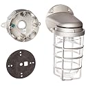RAB Lighting VXBR100DG-3/4 Vaporproof VXBR 4" Wall Bracket with Glass Globe and Cast Guard, A19 Type, Aluminum, 150W Power, 3/4" Hub, Natural