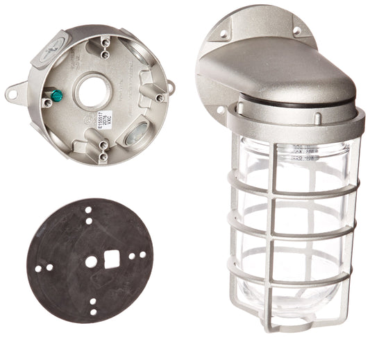 RAB Lighting VXBR100DG-3/4 Vaporproof VXBR 4" Wall Bracket with Glass Globe and Cast Guard, A19 Type, Aluminum, 150W Power, 3/4" Hub, Natural