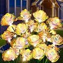 [24 Bigger Roses] Solar Garden Lights Outdoor, Birthday Gifts for Mom Women Preserved Flowers Solar Light, IP65 Waterproof Garden Decoration