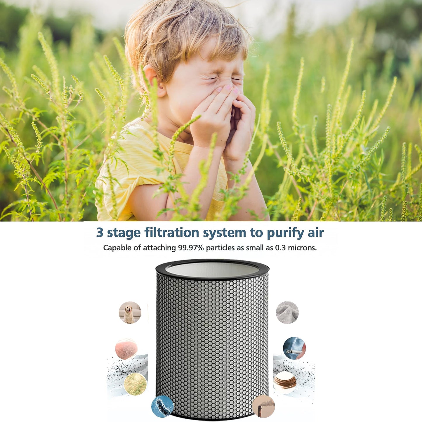 972132-01 H13 Grade Glass Big HEPA Filter Compatible for Dyson Purifier BP03 and BP04 (Big), Airborne Wildfire, Smoke, Pollen, Pet Dander, and Dust