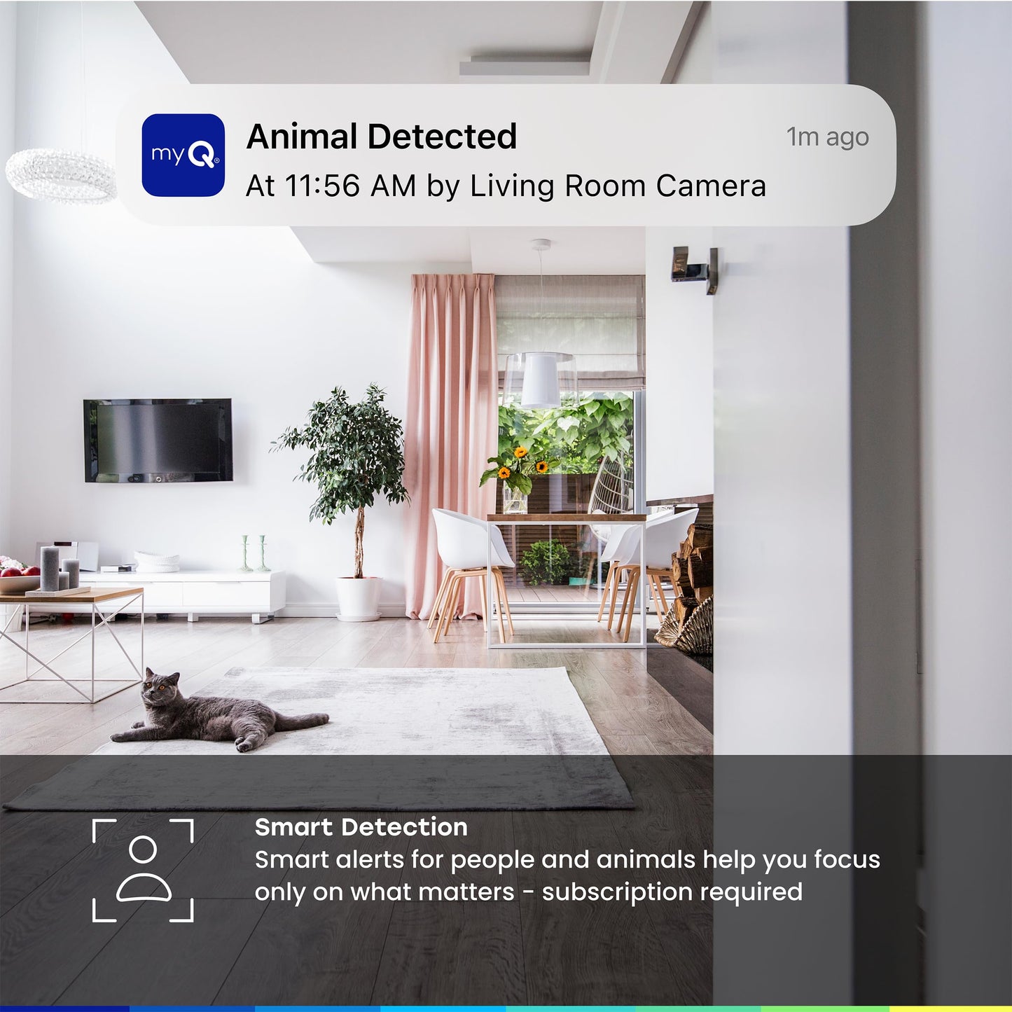 myQ Indoor Plug-in Security Camera Gen 2 - 2K Smart Wi-Fi Camera with Night Vision, Baby and Pet Monitor, Motion Detection and Alerts, 2-Way Audio