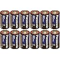 Panasonic Heavy Duty D Batteries X 12