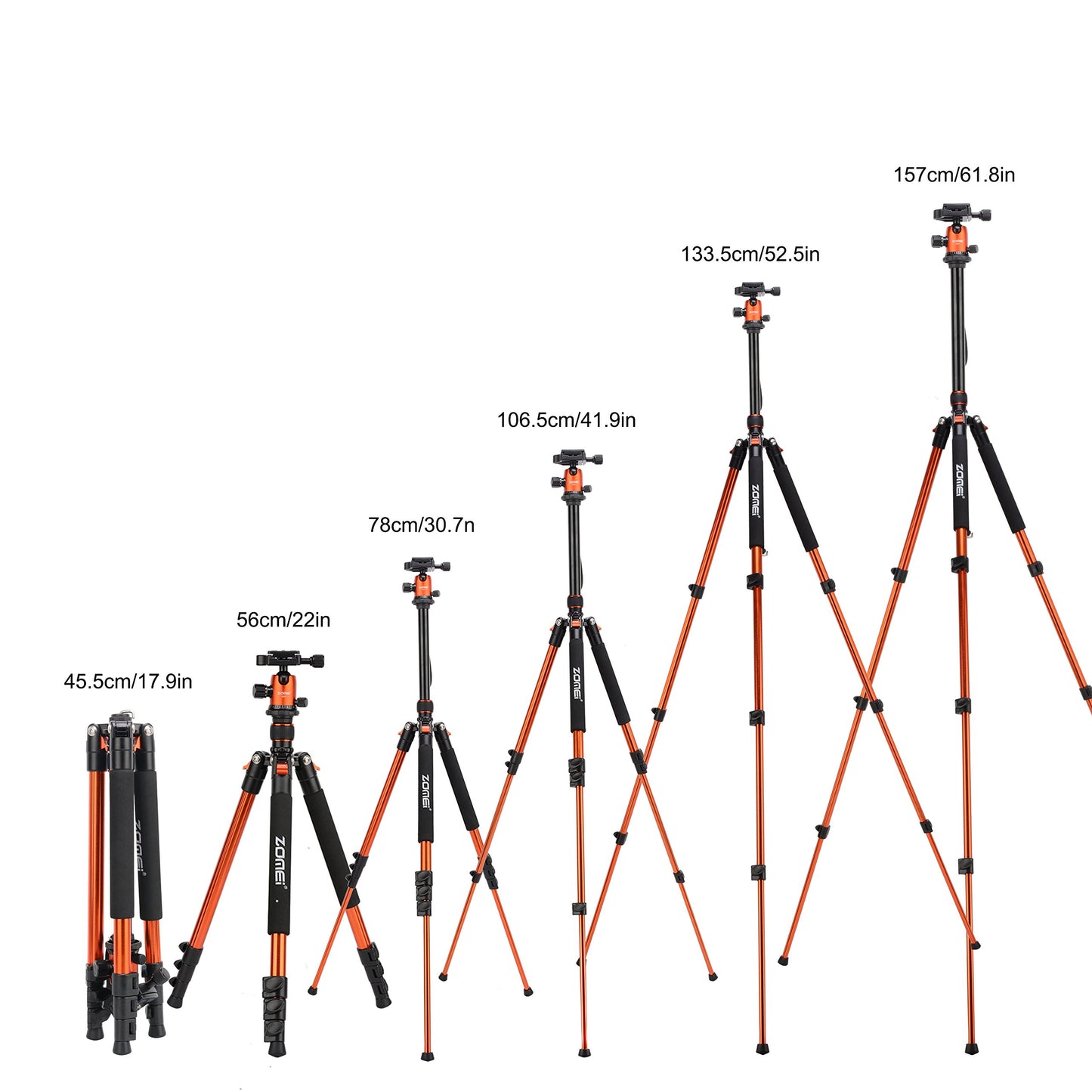 Zomei Q555 62.5'' Camera Tripod,Foldable Lightweight Aluminum Travel Tripod Stand with 360 Degree Ball Head for Vlog Nikon Canon Sony All DSLR