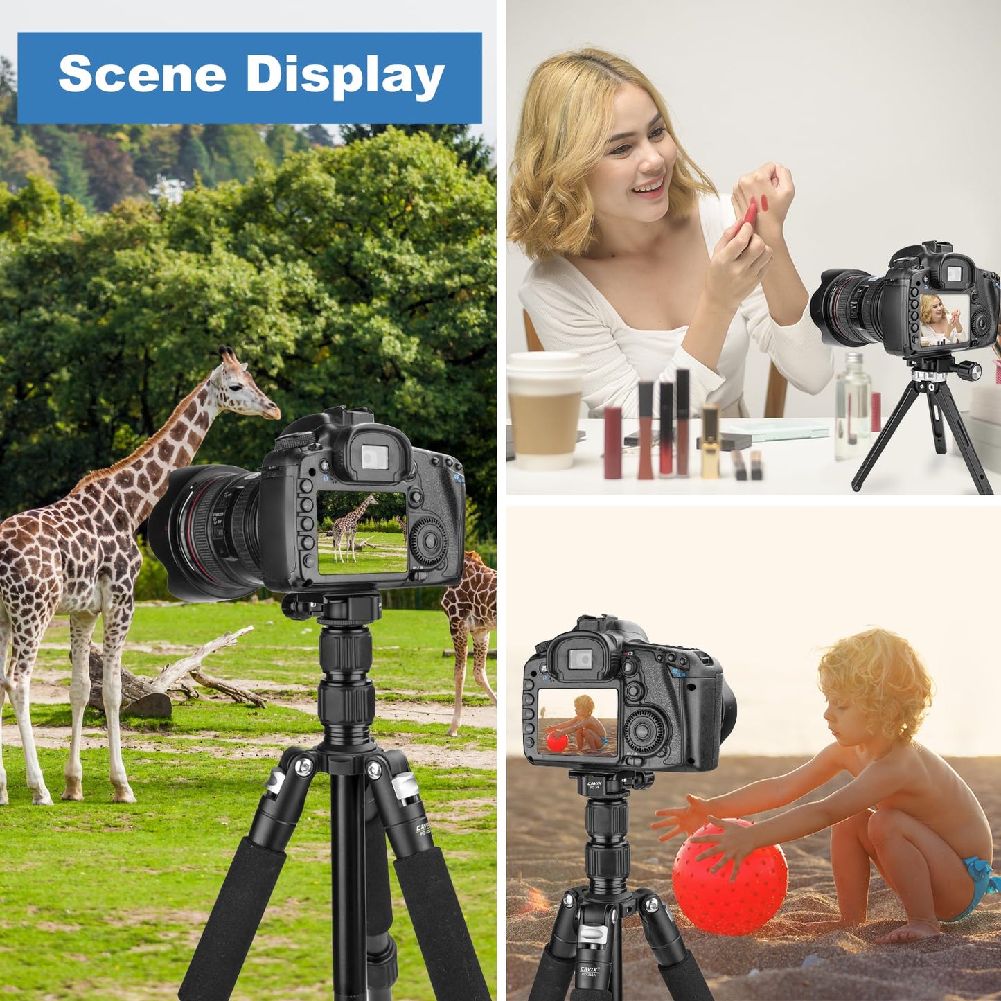 Camerig Mini Fish Bone Style Quick Release Clamp - Arca Clamp with 3/8"-1/4" Screw Adapter for Tripod Ball Head Compatible with Arca Swiss Plate