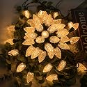 AWQ 100LED 81 FT C9 Christmas String Lights Plug in Fairy Twinkle String Lights 8 Modes Timer Function Waterproof Extendable for Indoor Outdoor
