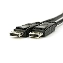 VividAV Digital Cables (10 Feet, DP to DP)