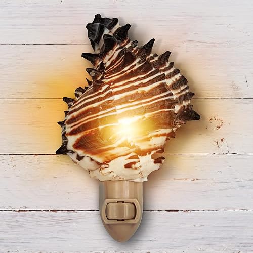 Tumbler Home Shell Night Light, Seashell Nightlight for Bathroom, Unique Coastal Night Light for Nautical, Ocean & Beach Décor