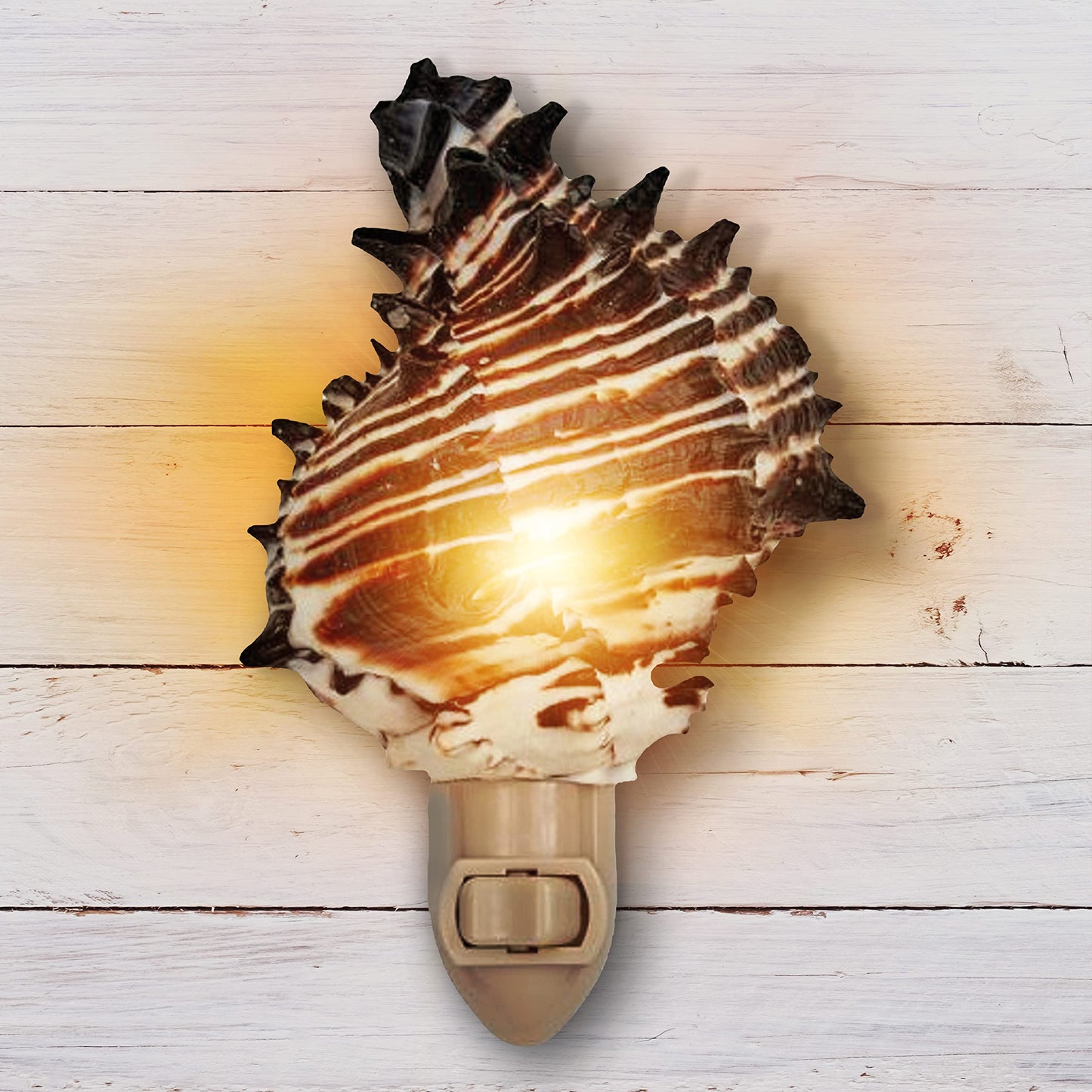 Tumbler Home Shell Night Light, Seashell Nightlight for Bathroom, Unique Coastal Night Light for Nautical, Ocean & Beach Décor
