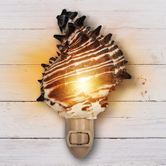 Tumbler Home Shell Night Light, Seashell Nightlight for Bathroom, Unique Coastal Night Light for Nautical, Ocean & Beach Décor