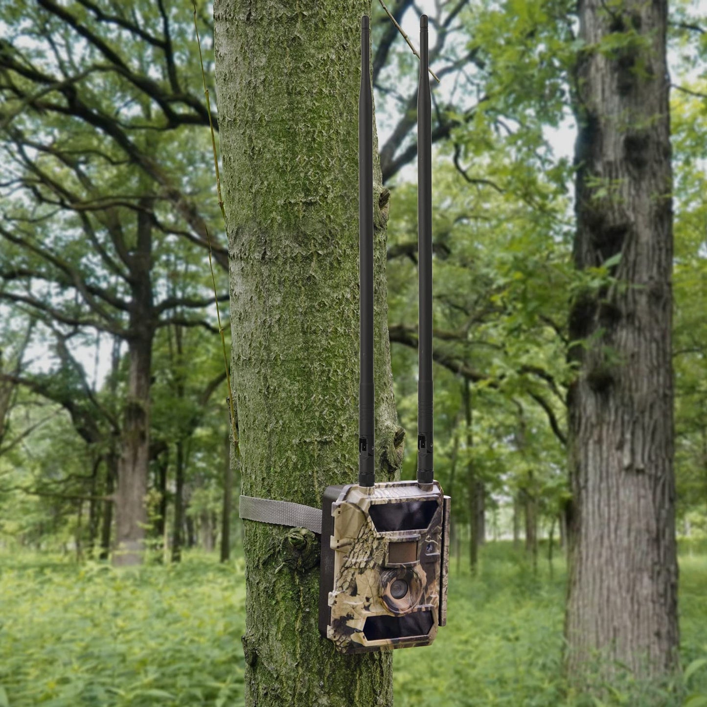 Eightwood 4G LTE Antenna 9dbi RP-SMA Antennae Compatible with Spypoint Link Tactacam Stealth Cellular Trail Camera Outdoor Wildlife Hunting Game Cam