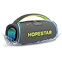 300W Portable Speaker with Handle & Microphone (Gray)