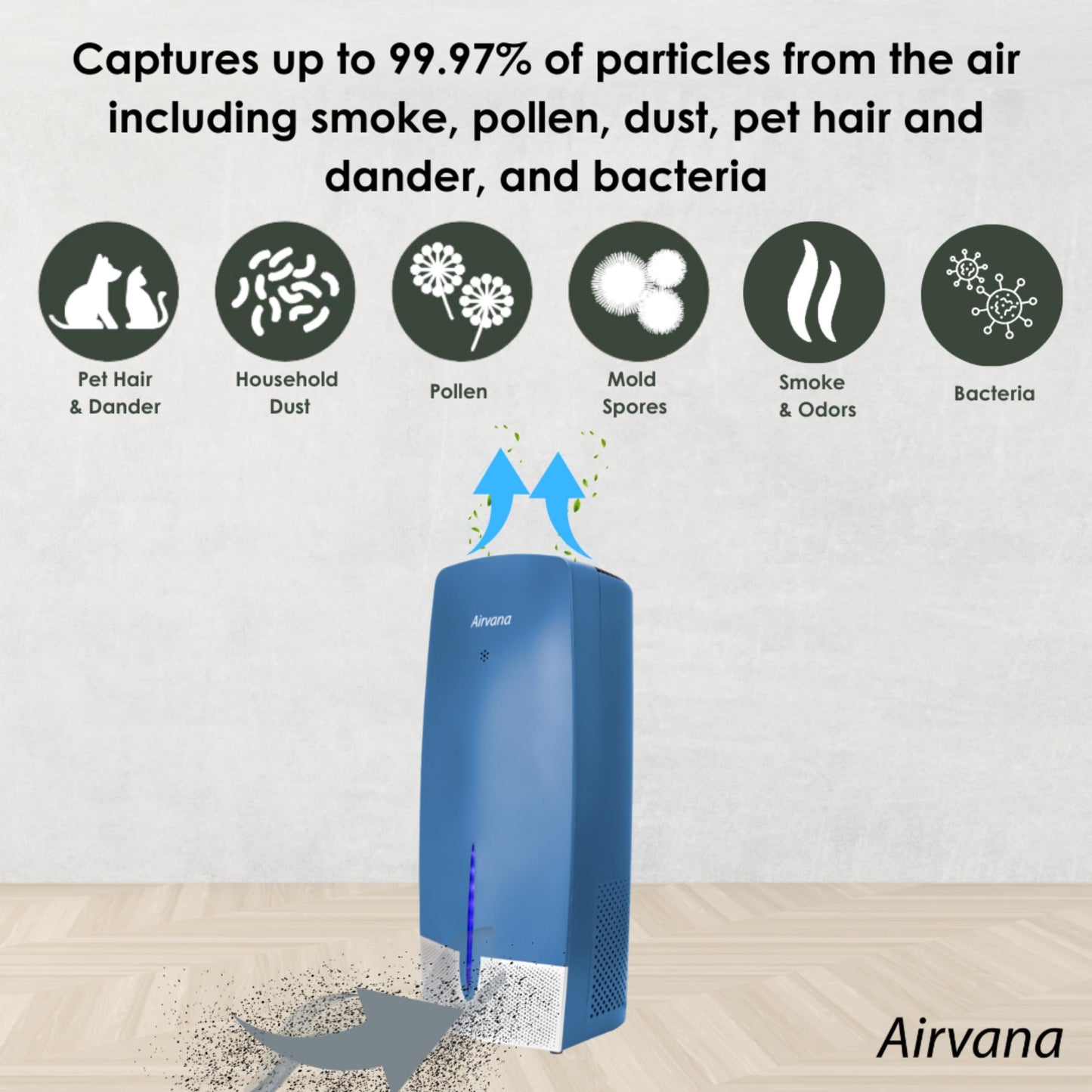 Airvana Capri Air Purifier w/Granular Carbon Insert AV470THP, Black