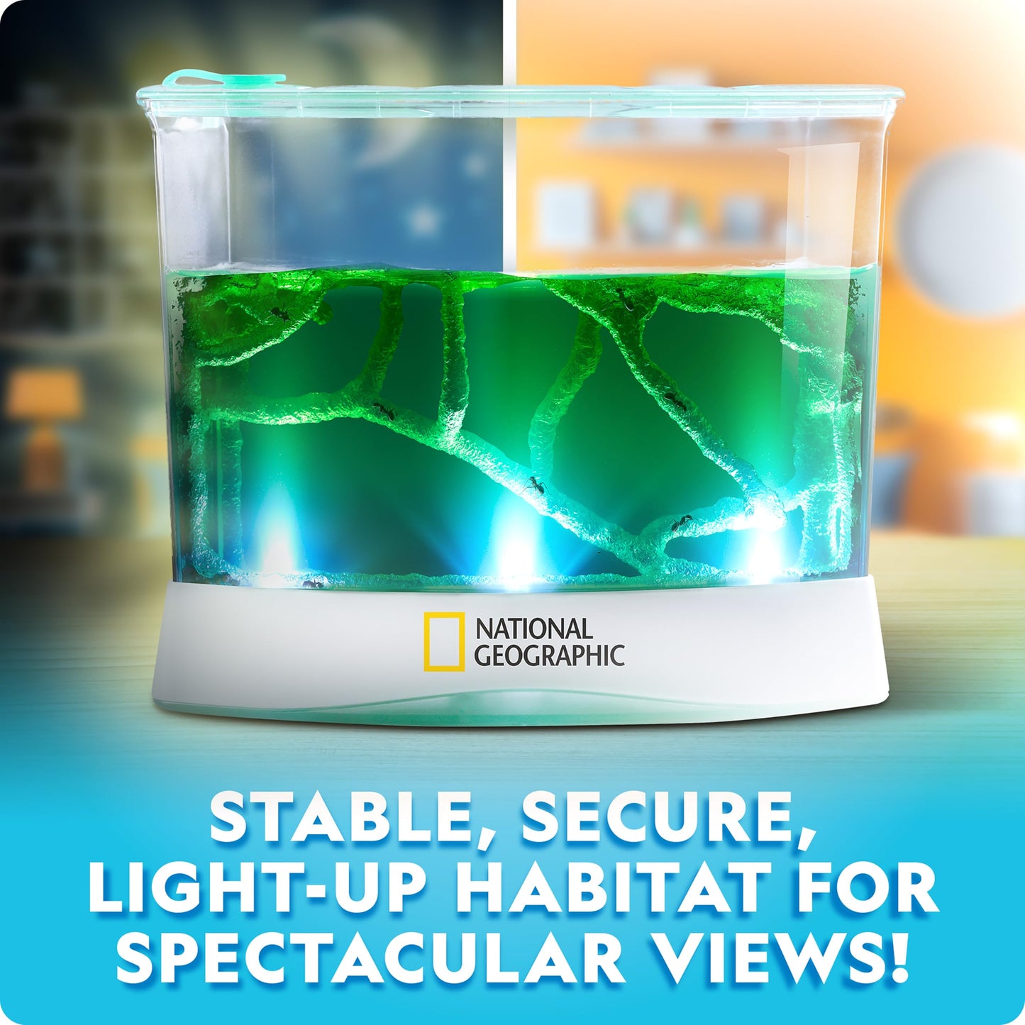 National Geographic Ant Habitat Kit – Light-Up Terrarium with Magnifiers, Tunnel Starter & Ant Activities, Educational Ant Colony Kit for Kids