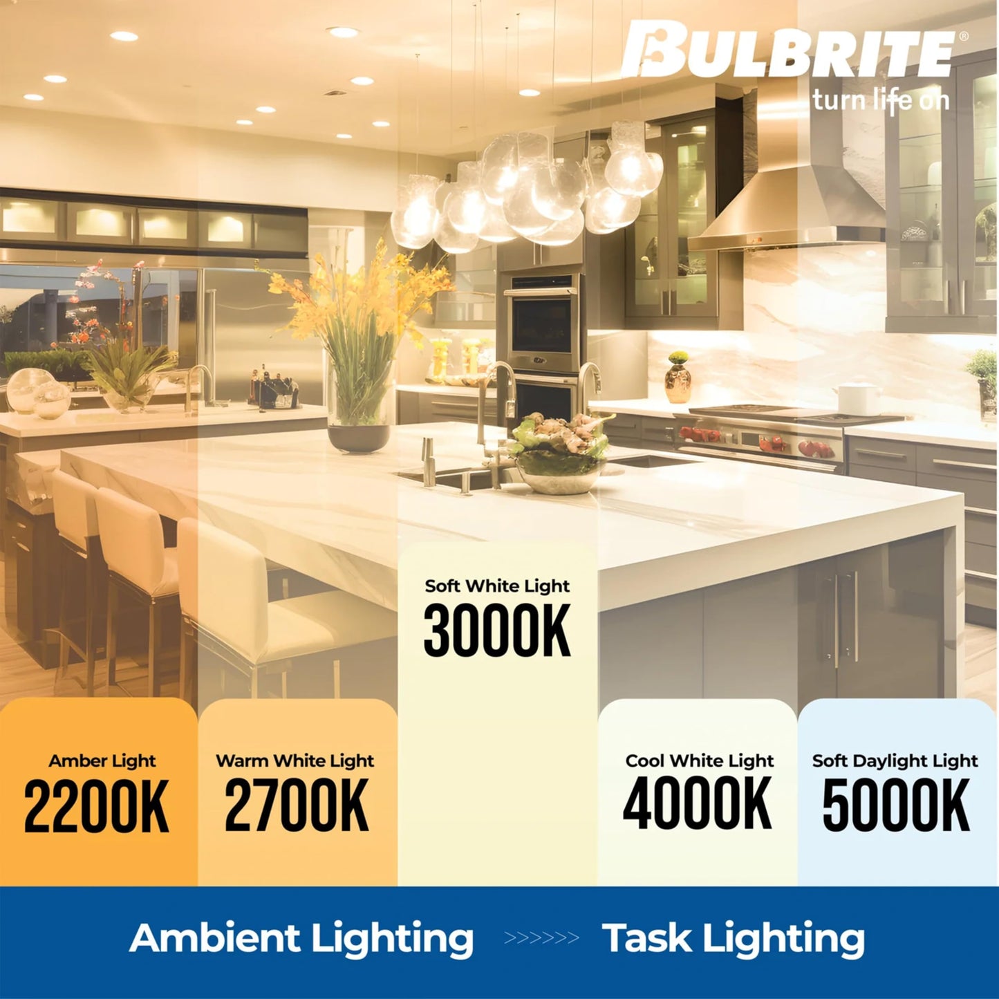Bulbrite 776768 8.5W LED A19 Light Bulb, 3000K Filament Fully Compatible Dimming JA8, Filaments Supports Title 24 Part 6 JA8, E26 - Medium Base (4