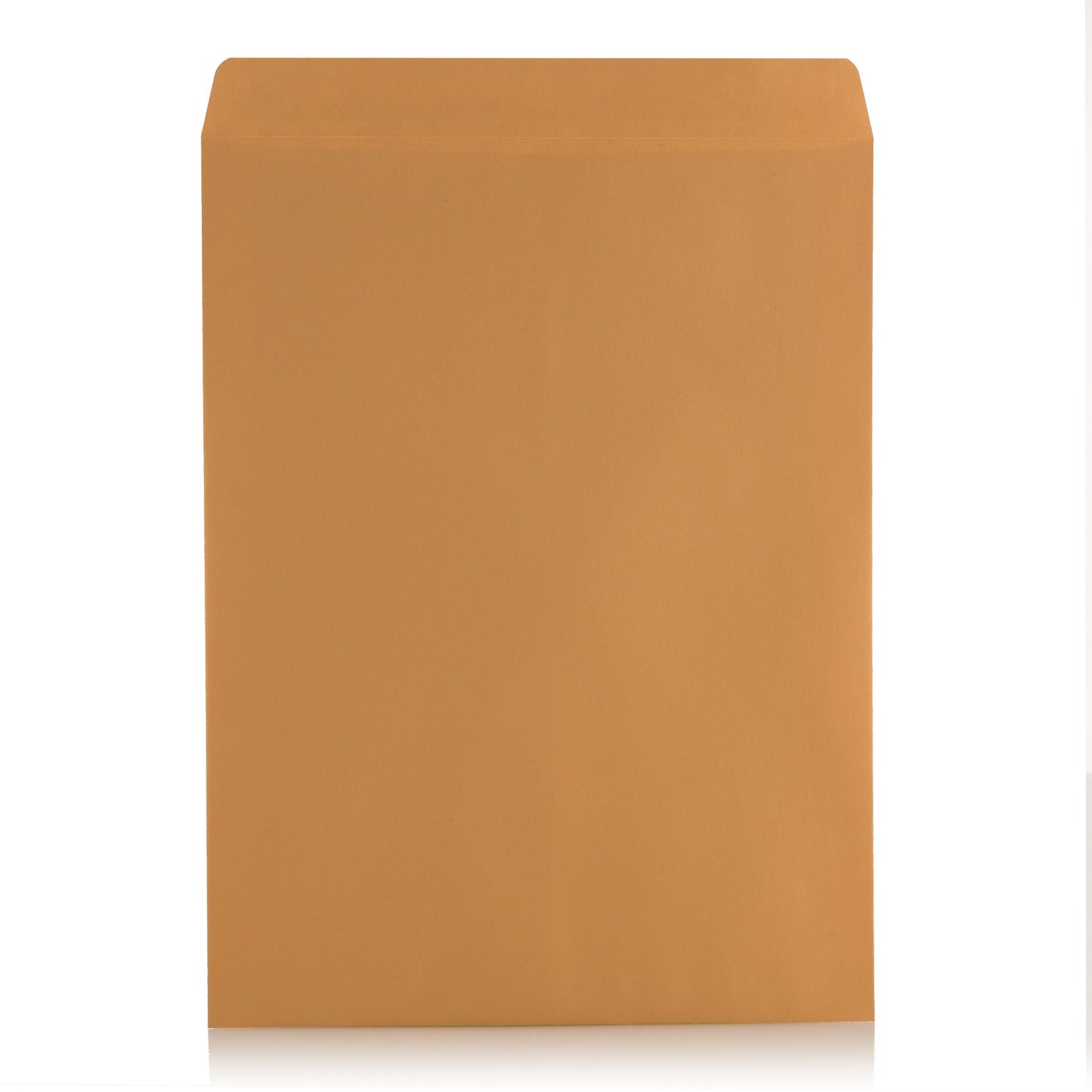 Aimoh 9 X 12 Self-Seal Brown Kraft Catalog Envelopes - 28lb - 9x12 inch (38315)(15 Count)