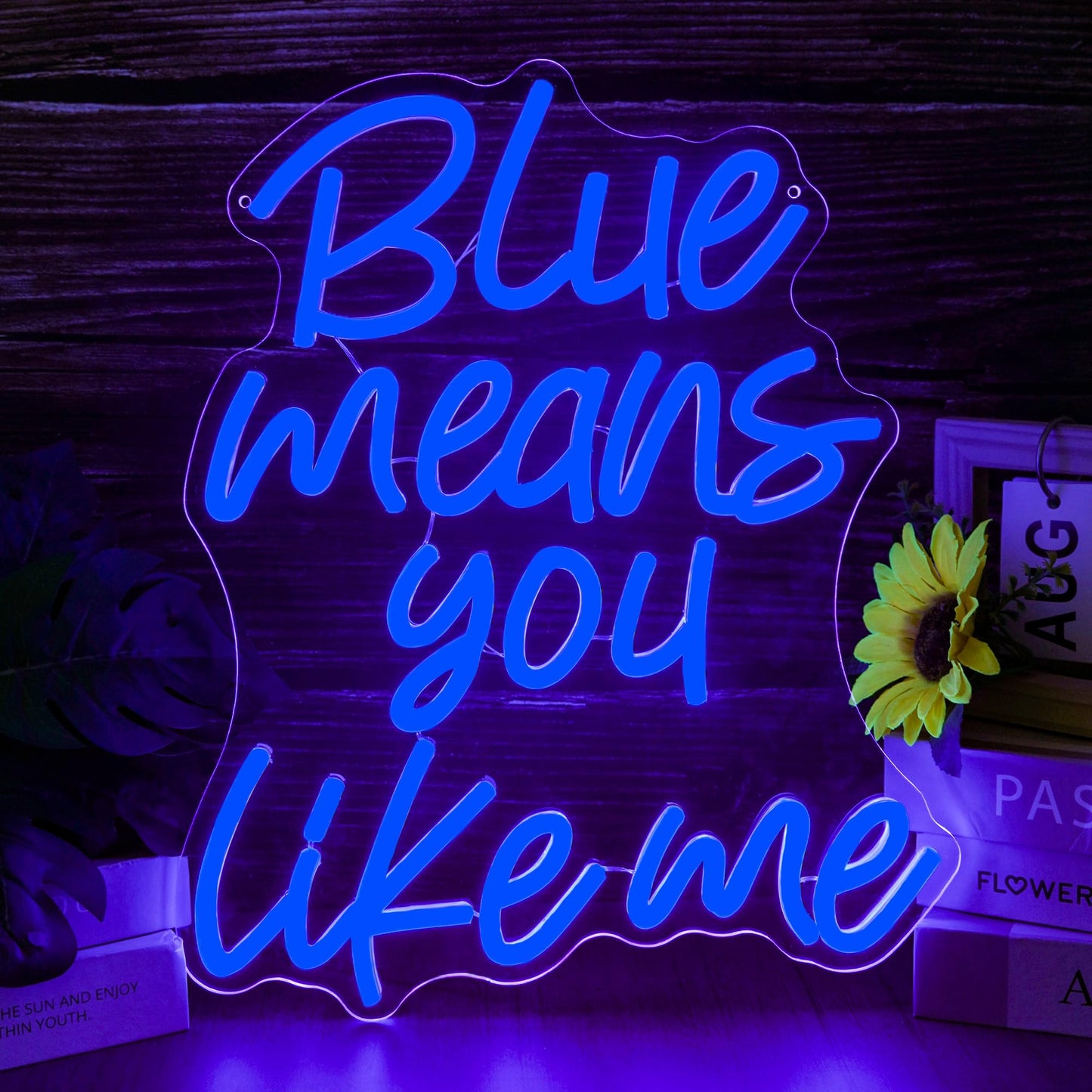 Blue Means You Like Me Neon Sign LED Light for Teen Room Decor, Aesthetic Blue Wall Art for Bedroom, Romantic Quote Glow Lamp for Soft Girl Room(12.5
