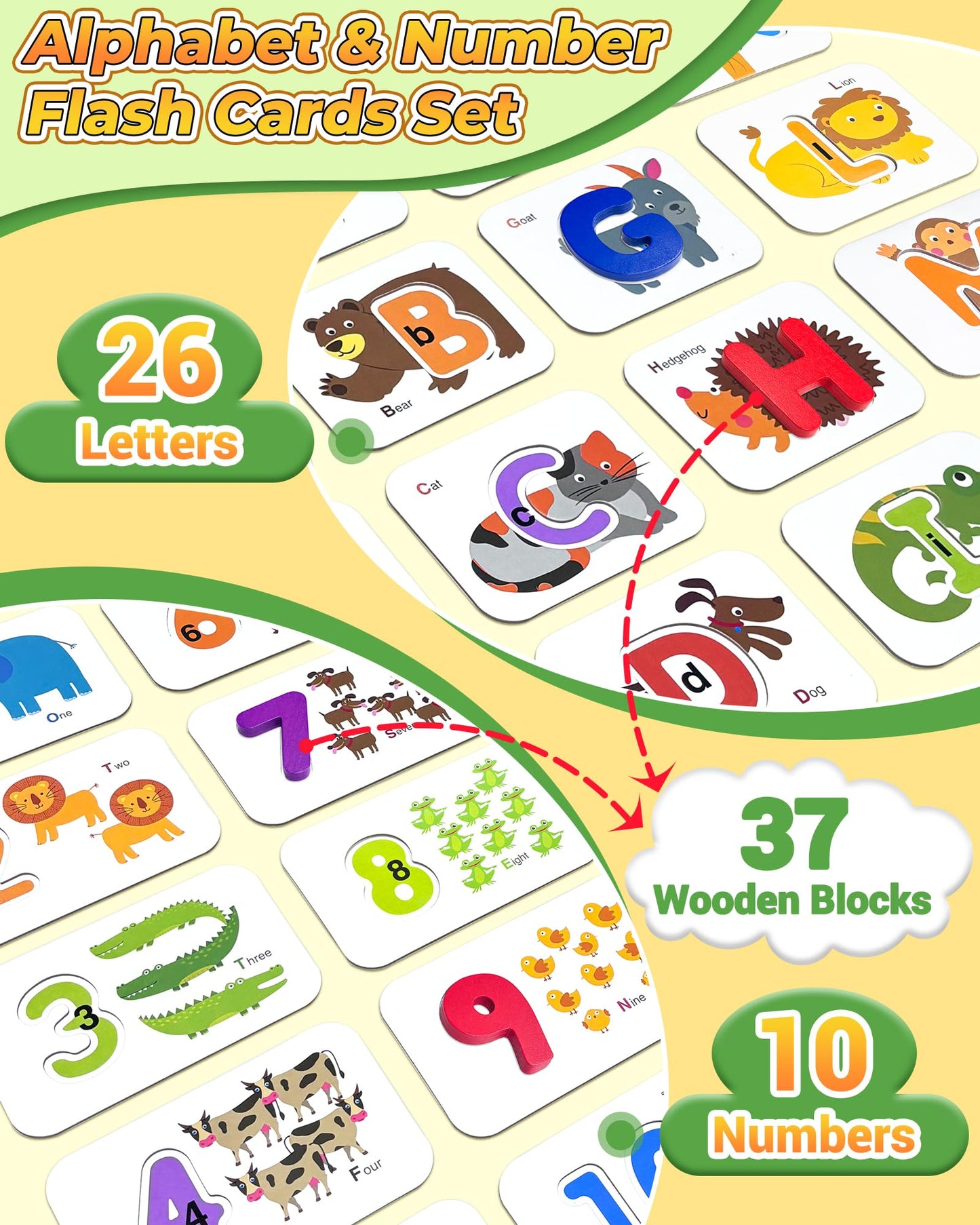 Gojmzo Alphabet Flash Cards – ABC Learning Toys with Wooden Letters, Number Blocks & Sight Words Matching Game for Toddlers & Preschool Kids Ages 3+
