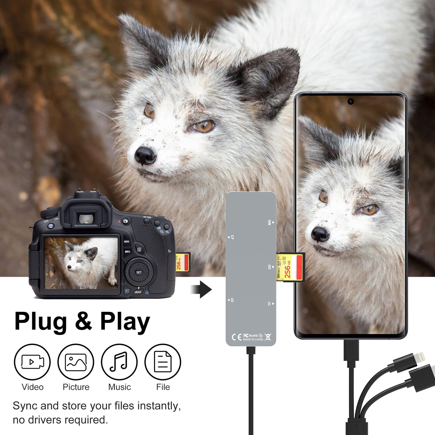 Memory Stick pro Duo Adapter - 5 in 1 SD/TF/MS/CF/XD Card Reader for PC/Android/Lightning Device, Aluminum Multi Memory Card Reader USB C Lightning