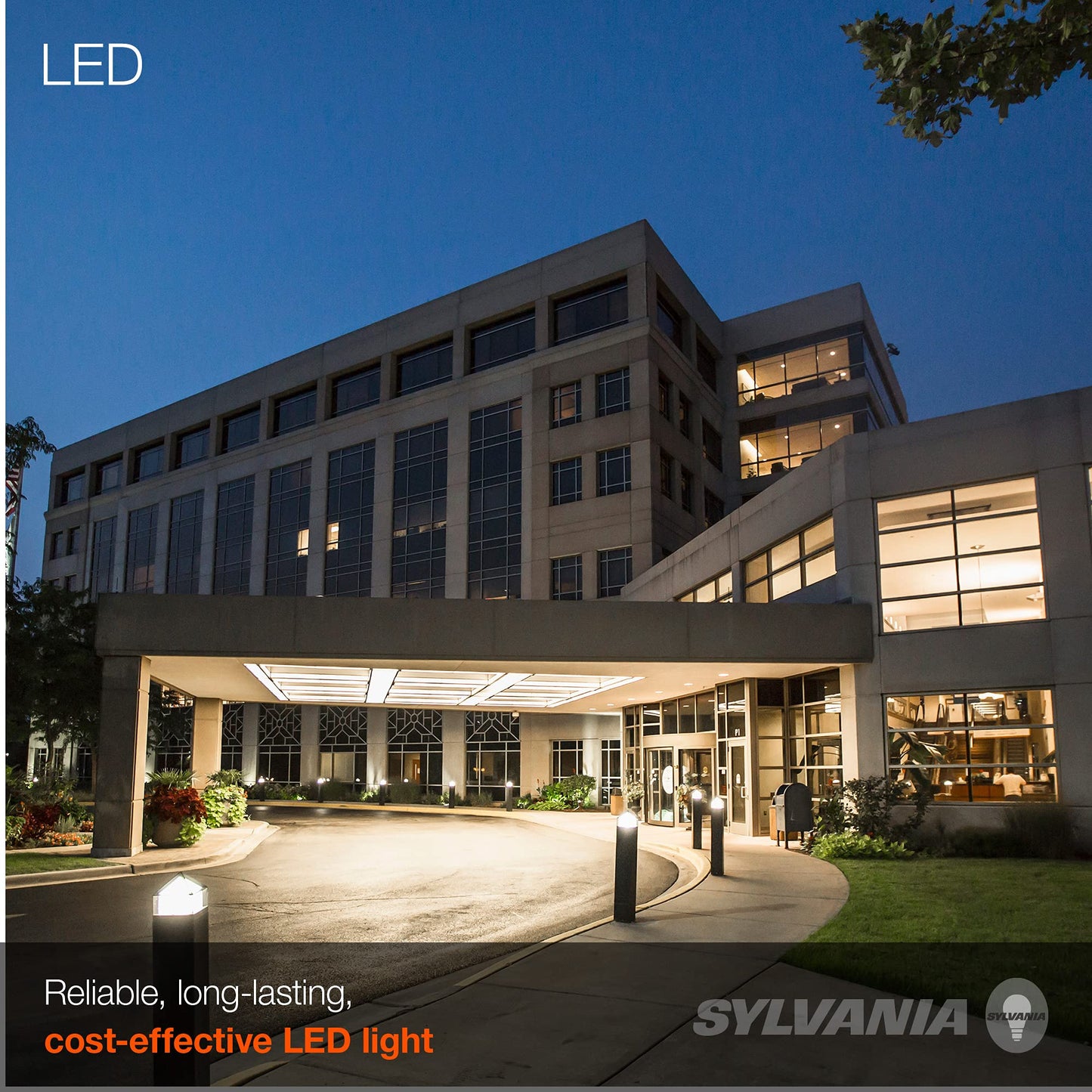 Sylvania LED HIDr 24W A23 Bollard Retrofit Lamp, Universal Voltage, Medium Base, 4000K Cool White, 1 Pack