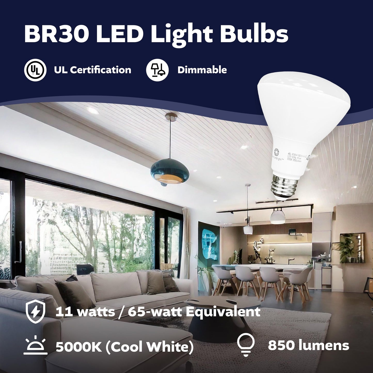 Elemedia Tech of America Dimmable LED BR30 Flood Light Bulb - 65W Equivalent, 850 Lumens, 5000K Cool White, UL Certified, Energy-Efficient