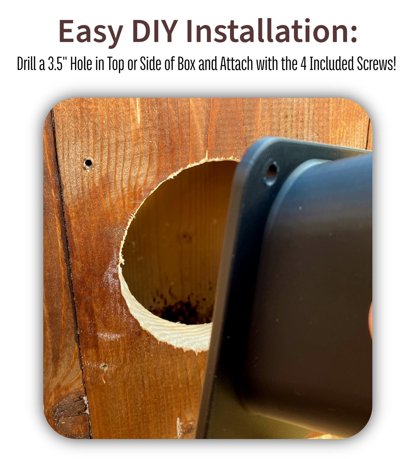 NestView™ Blink Camera Enclosure: Attach a Blink Camera on Birdhouse, Squirrel House, Owl, Nest, or Roost Box for Smart Wildlife Viewing (Flat Mount)