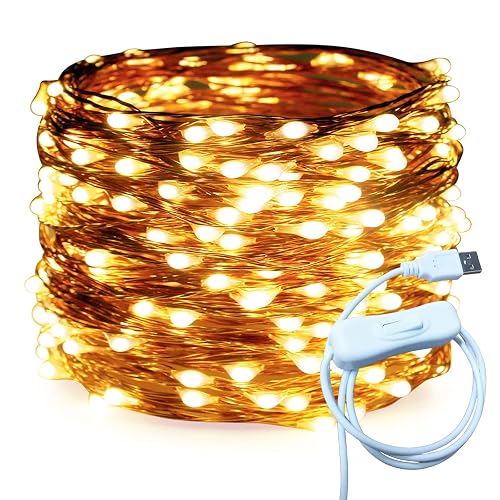 RUICHEN Copper Wire 66 Ft 200 LED USB Fairy String Lights with On/Off Switch, Warm White