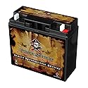Pirate Battery 12 V 22 Ah AGM Sealed Lead‑Acid Battery - T3 Nut & Bolt Terminals - Maintenance‑Free Backup Power for Alarm Systems, Scooters, Toys…