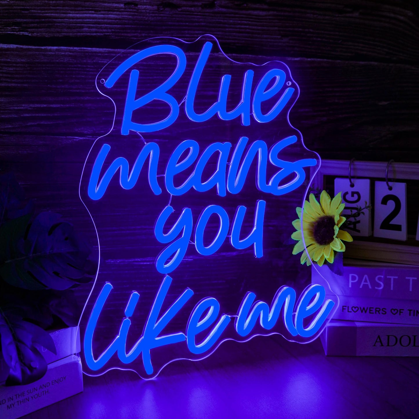 Blue Means You Like Me Neon Sign LED Light for Teen Room Decor, Aesthetic Blue Wall Art for Bedroom, Romantic Quote Glow Lamp for Soft Girl Room(12.5
