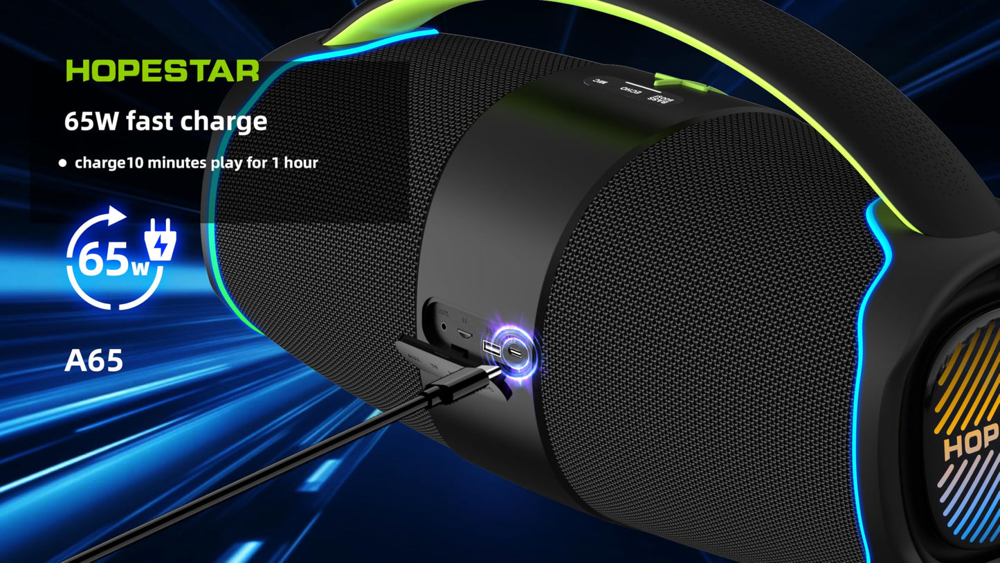 300W Portable Speaker with Handle & Microphone (Gray)