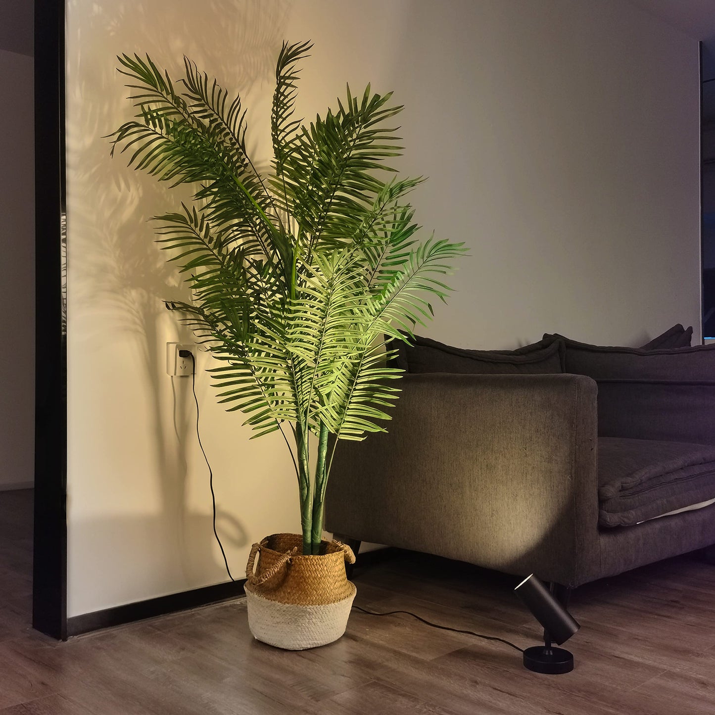 Aisilan LED Spotlight Uplighting Indoor, Plug in Wall Scones Accent Ceiling Spot Light Up Light Fixture for Plant Art Picture Gallery Paintings, CRI