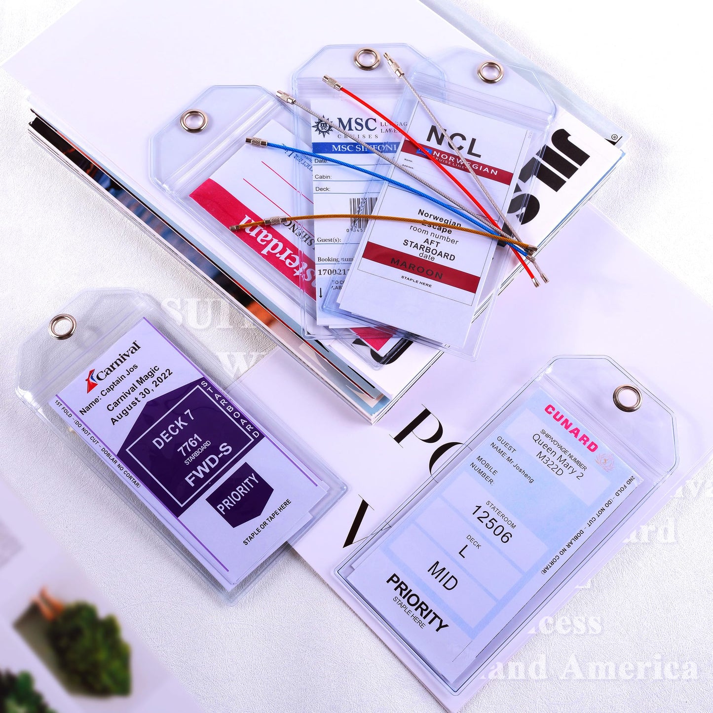 Cruise Ship Essentials for Carnival, Princess, NCL, MSC by JOLLYANTS, Cruise Luggage Tag Holders, Cruise Must Haves Waterproof & Reusable